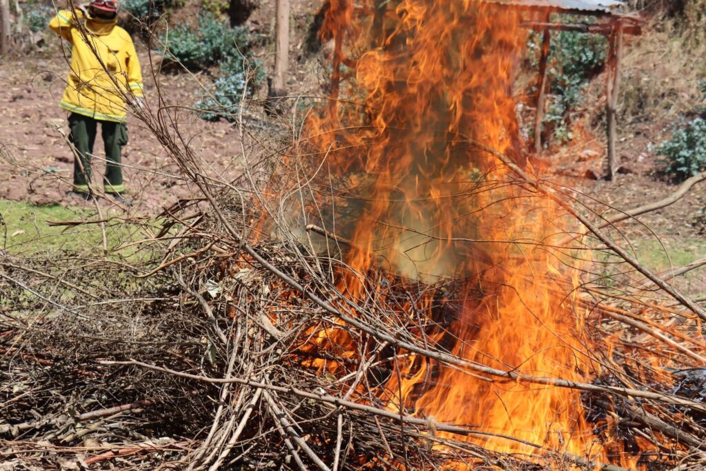 Incendios forestales en Cusco