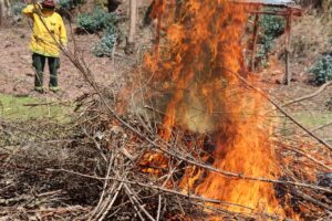 Incendios forestales en Cusco